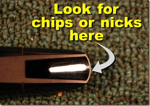 mouthpiece chips
